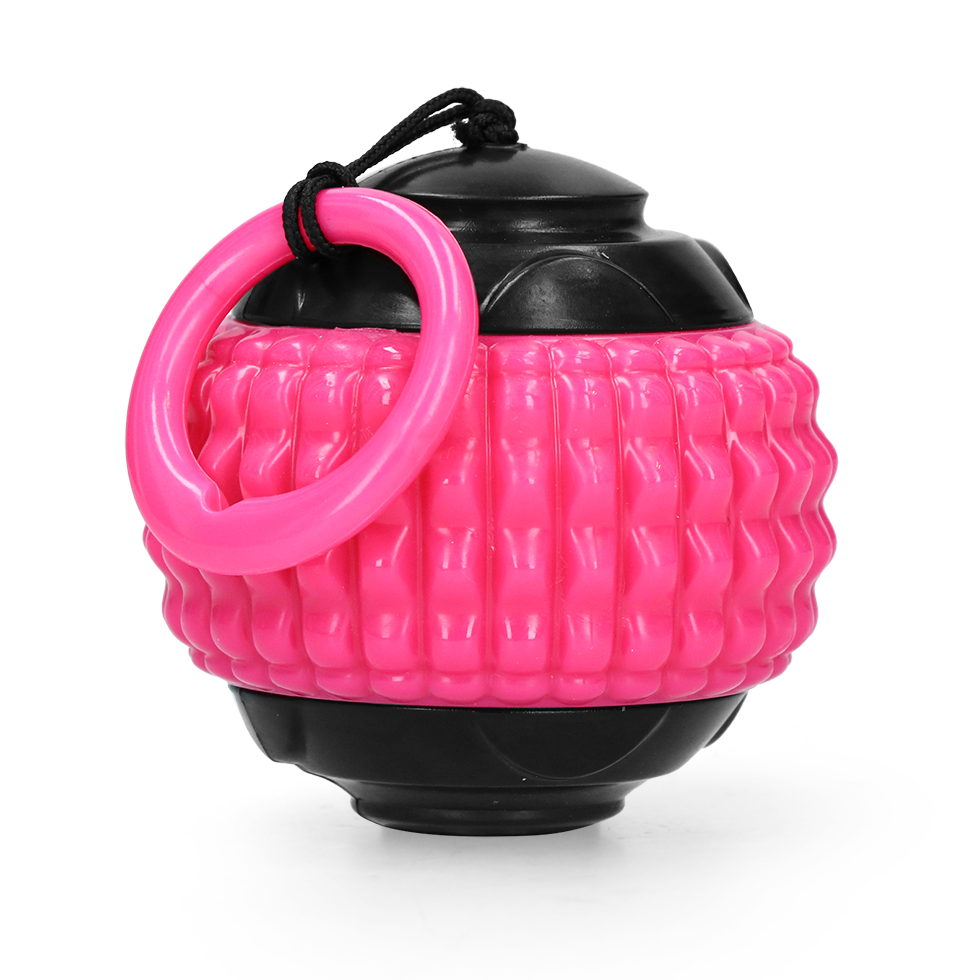 Dog Comets Blazar Jet Rosa