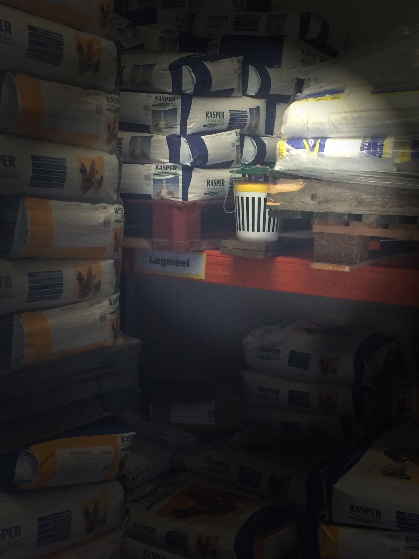 Black Stripe Trichter Mottenfalle