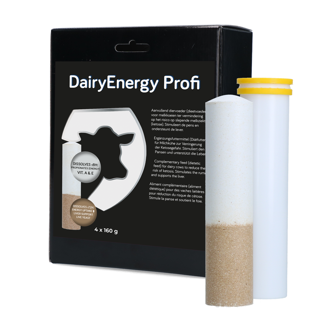 DairyEnergy Profi Bolus 4 x 160 g