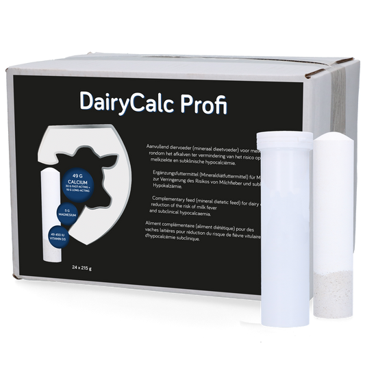 DairyCalc Profi Bolus (Mg & Vit. D3) 24 x 215 g