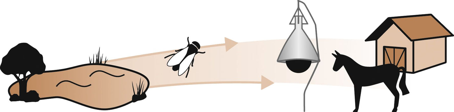 TaonX Bremsenfalle Komplett