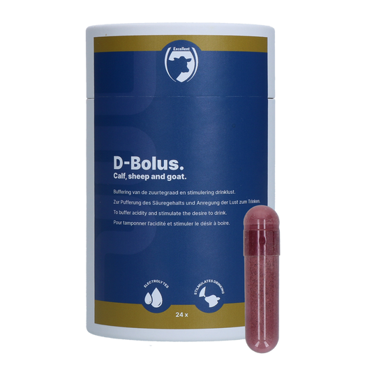 Excellent D-Bolus (Bikarbonat) 24 Stück