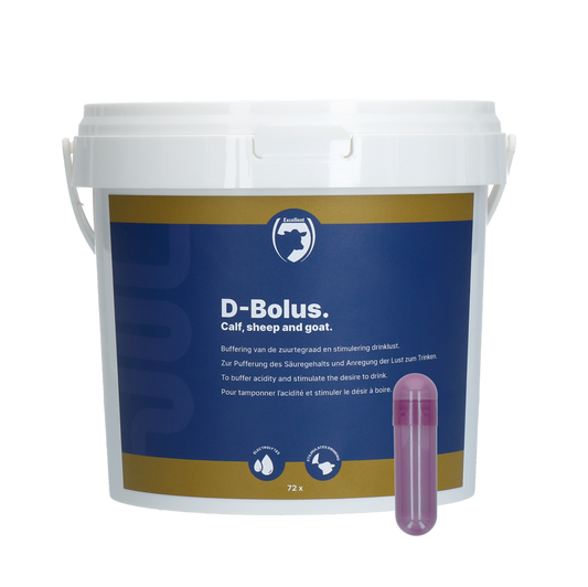 Excellent D-Bolus (Bikarbonat) 72 Stück