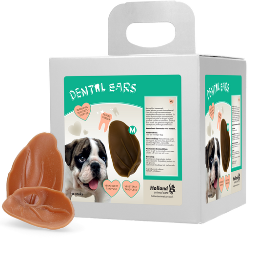 Dental Ears Medium 12 St.