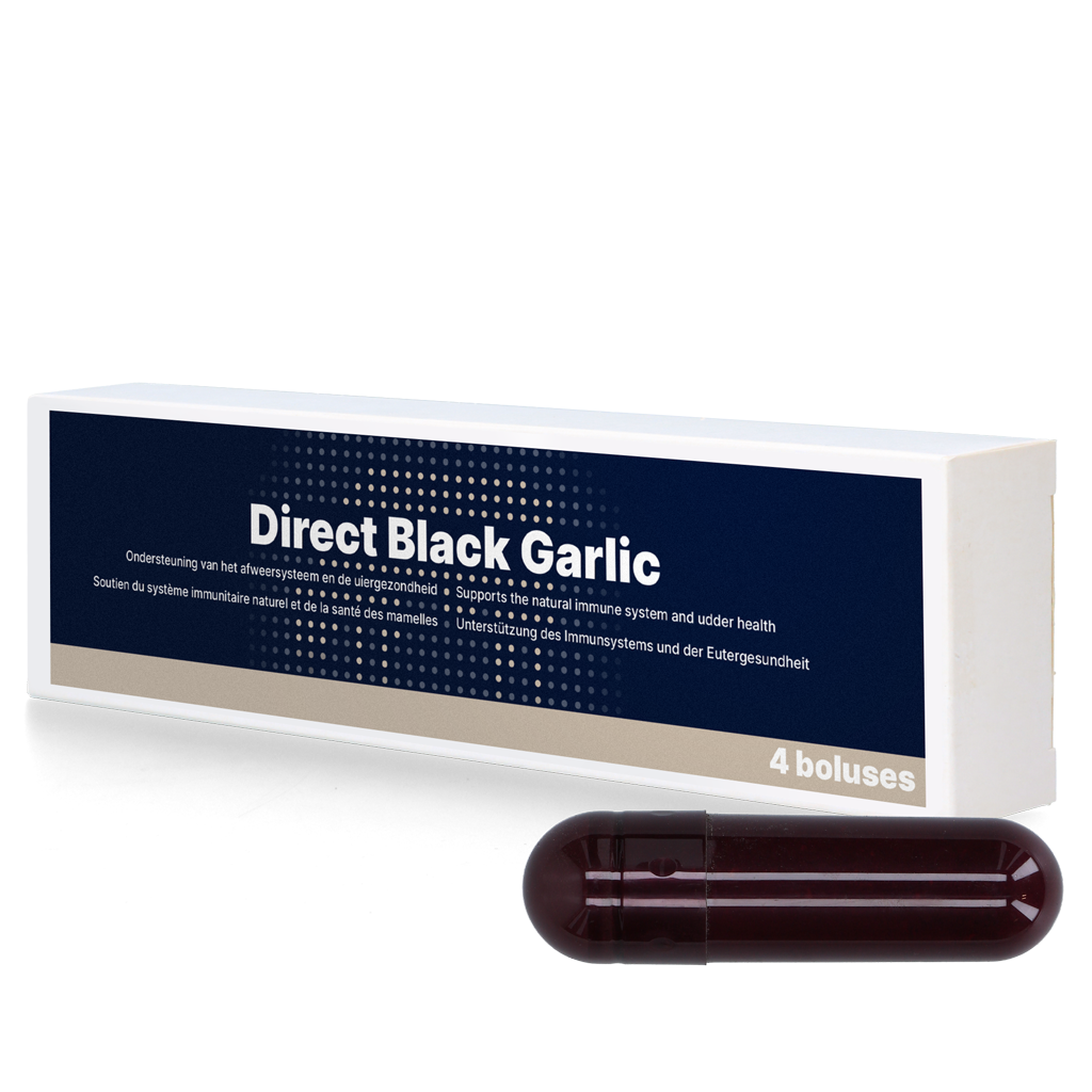 Direct Black Garlic 4 x 60 g