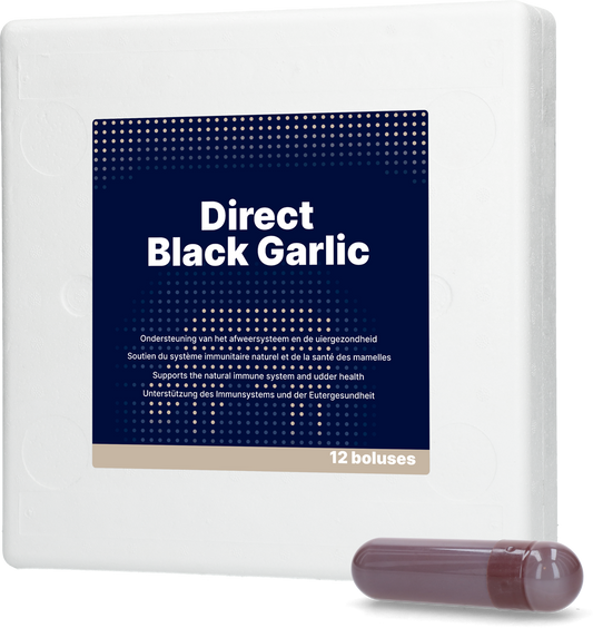 Direct Black Garlic 12 x 60 g