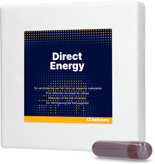 Direct Energy 12 x 67 g