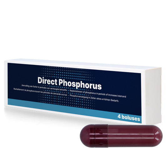 Direct Phosphorus 4 x 123 g