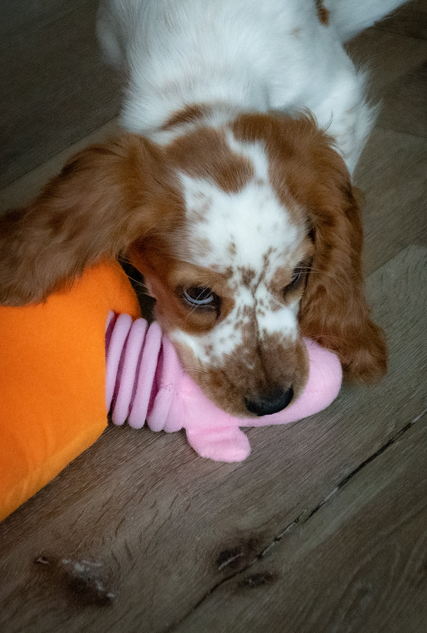 Double Wobble Carrot Conejos