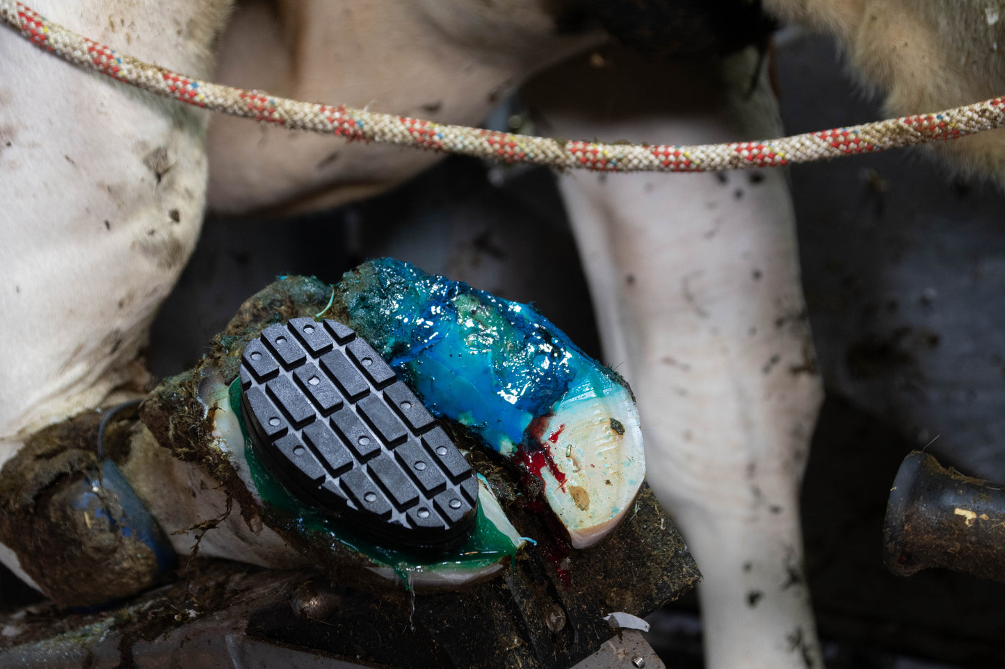 Excellent Easy Hoof Block PVC Kunststoff - 11 cm