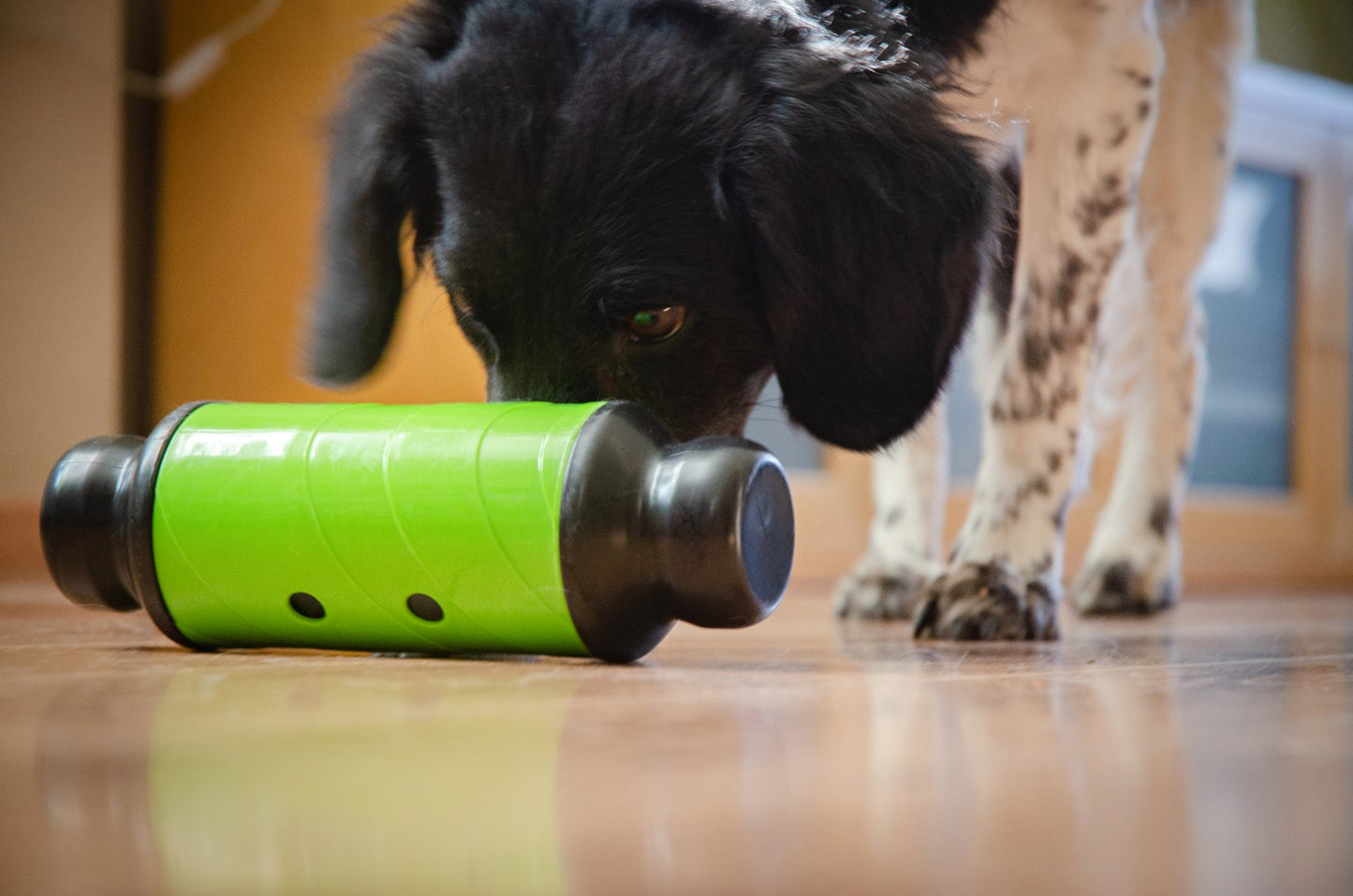 Eat Slow Live Longer Feed & Treat Roller Grün L