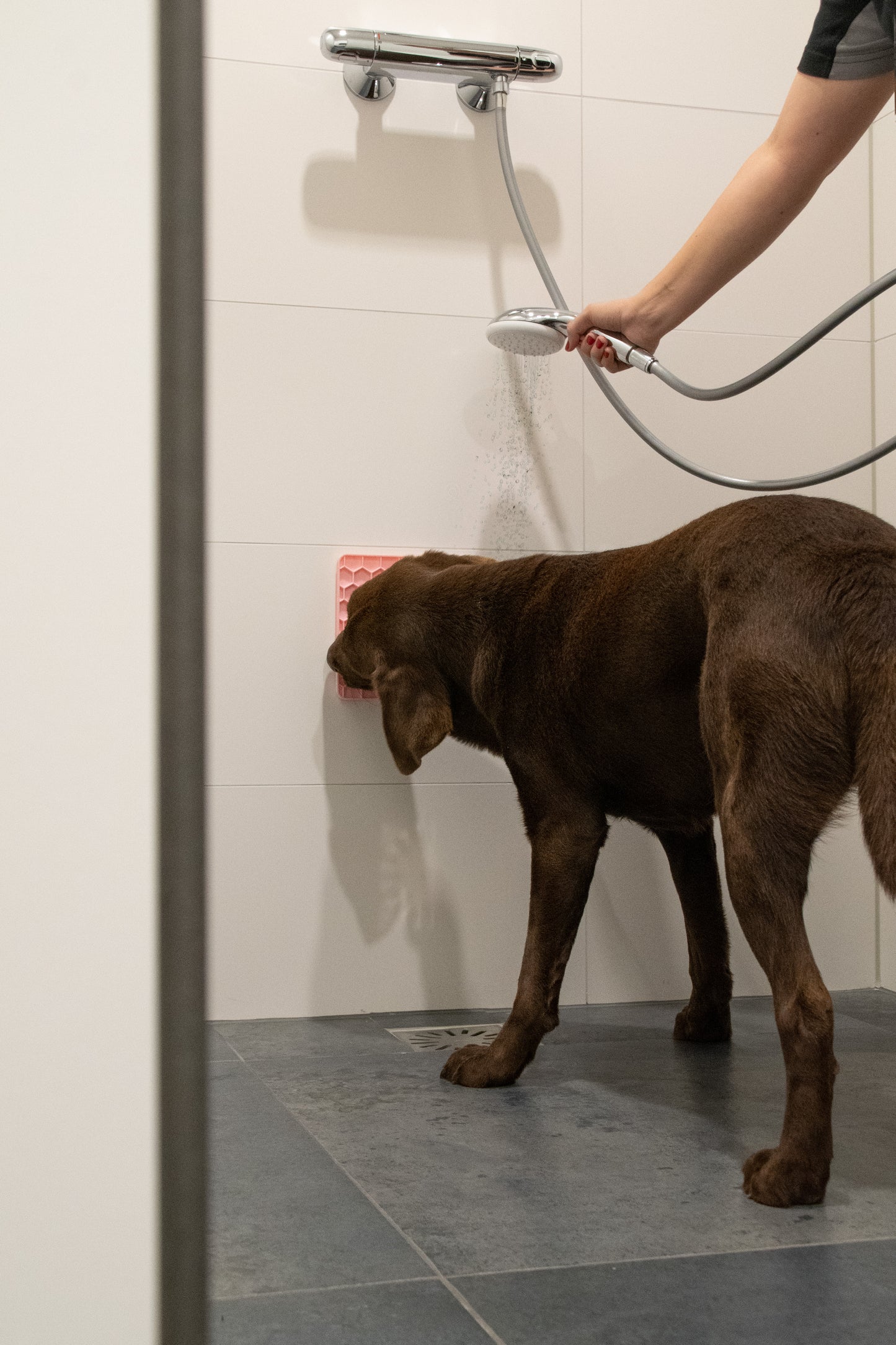 Eat Slow Live Longer Lick Mat Honeycomb Rosa