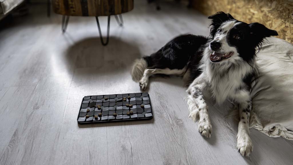 Eat Slow Live Longer Lick Mat Dimensions Flower Grau