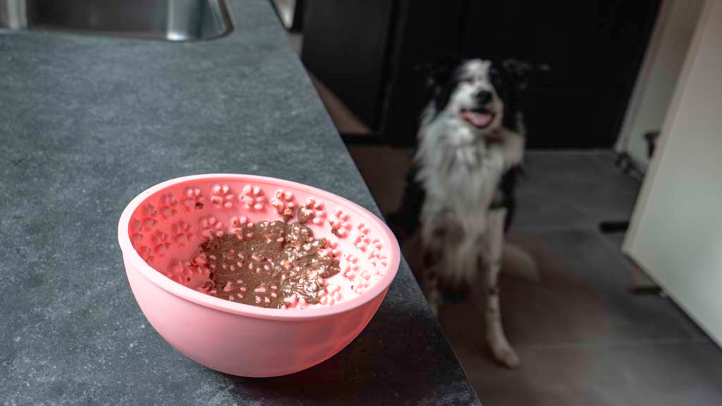 Eat Slow Live Longer Lick Mat Wobble Bowl Rosa