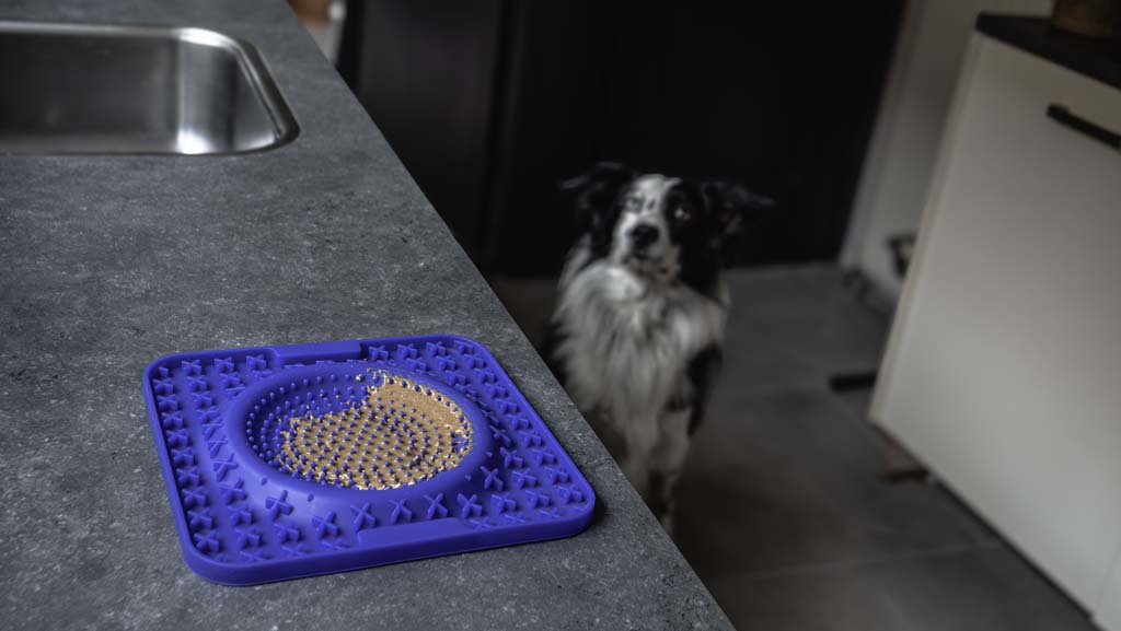 Eat Slow Live Longer Lick Mat Wave Blau