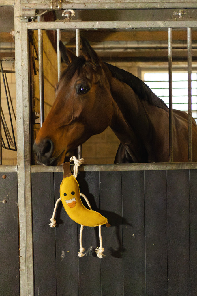 Excellent Horse Foodie Friends Banana