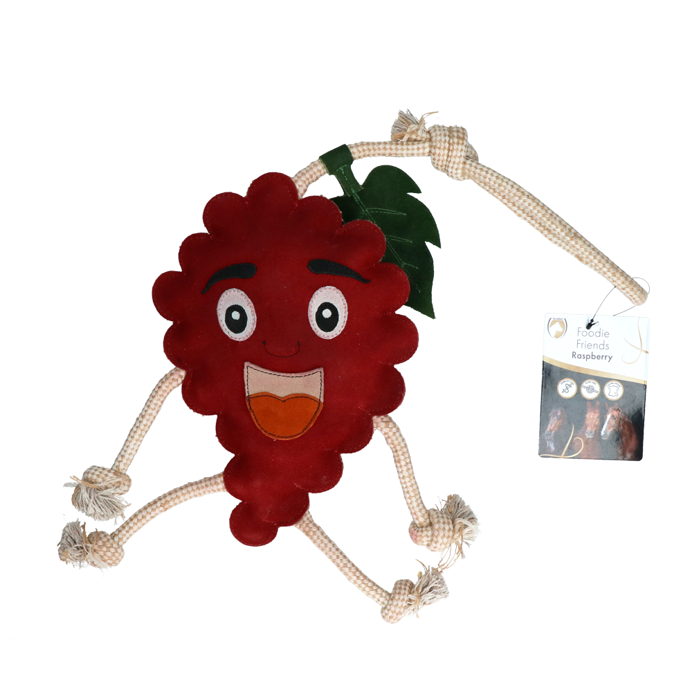 Excellent Horse Foodie Friends Raspberry