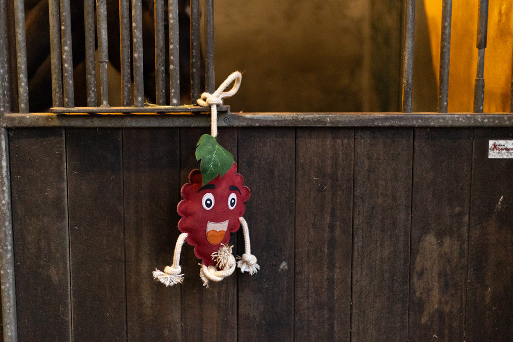 Excellent Horse Foodie Friends Raspberry