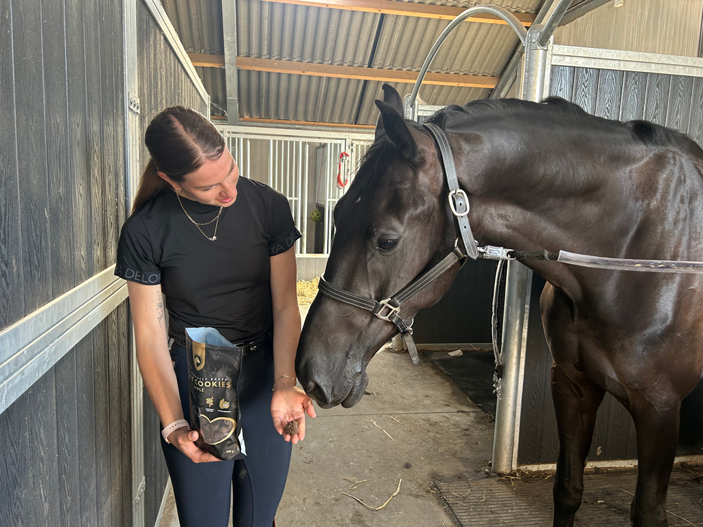 Excellent Horse Handgemachte Pferdekekse Apfel