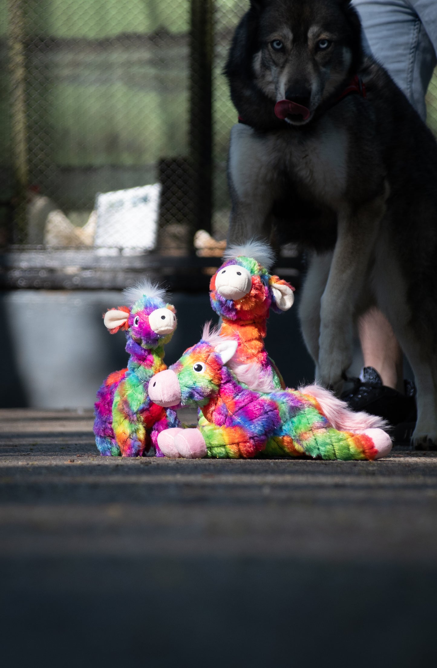 FantaZoo Giraffe - M