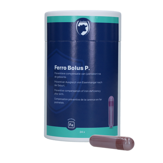 Excellent Ferro Bolus P 24 x 8,5 g