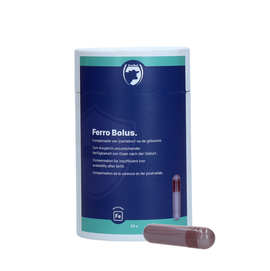 Excellent Ferro Bolus C 24 x 9,5 g
