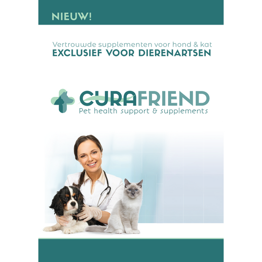 Curafriend Brochure