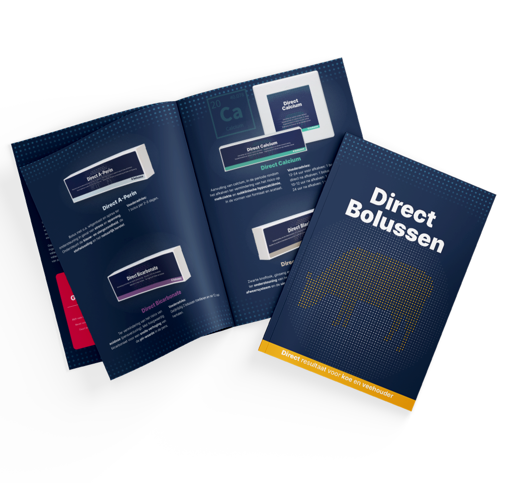 Broschüre Direct Boli NL
