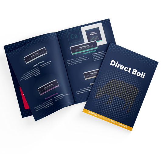 Broschüre Direct Boli DE