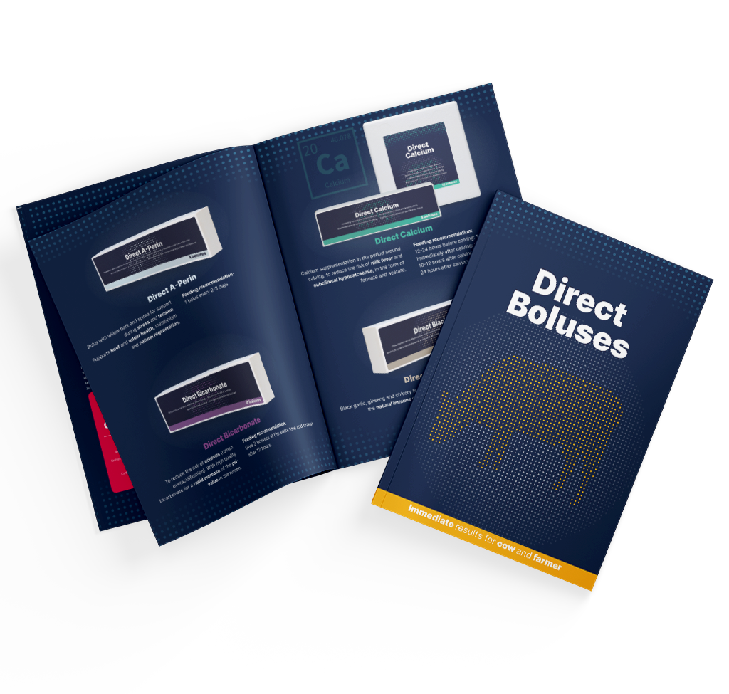 Broschüre Direct Boli EN