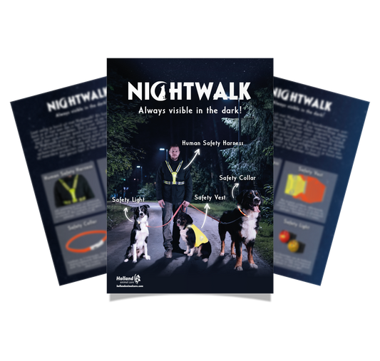 Flyer Nightwalk FR by Hoffreund