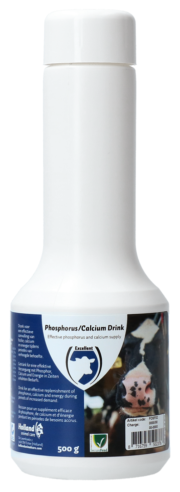 Excellent Phosphor/Calcium Getränk 500 g
