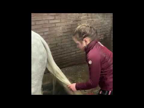 Lucky Horse Unicorn Magic Gel