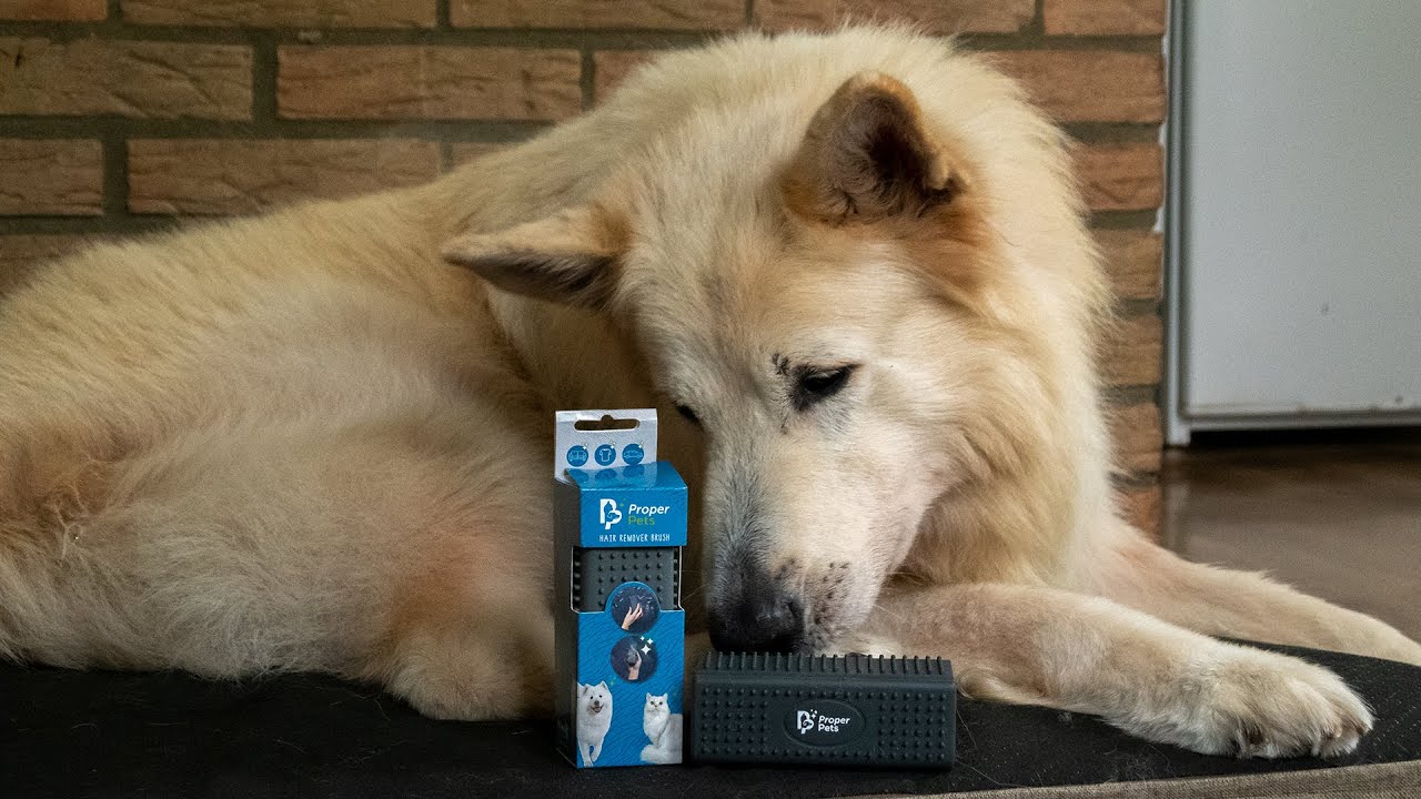 Proper Pets Haarentferner