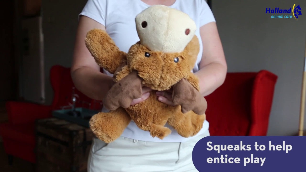 KONG Cozie Ali Alligator XL