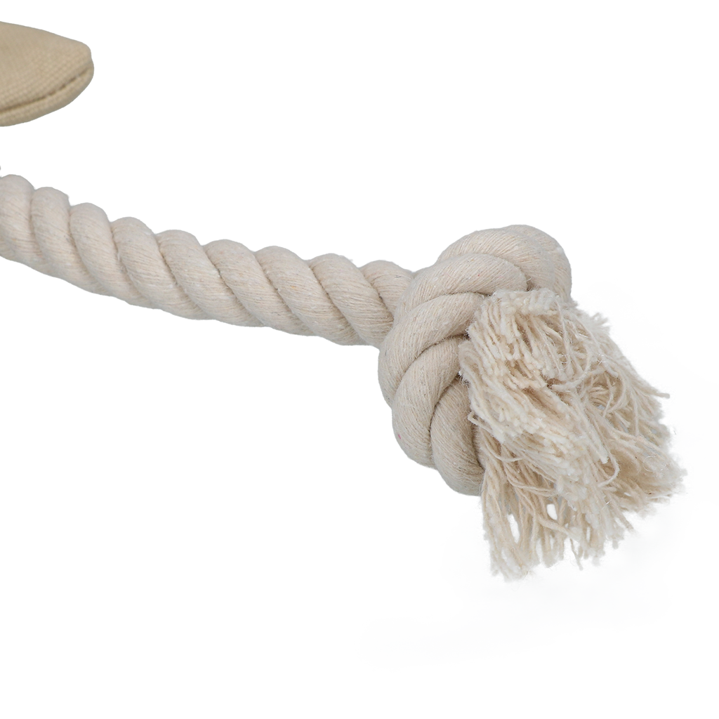 Garden Paws Scarecrow Scary Harry M