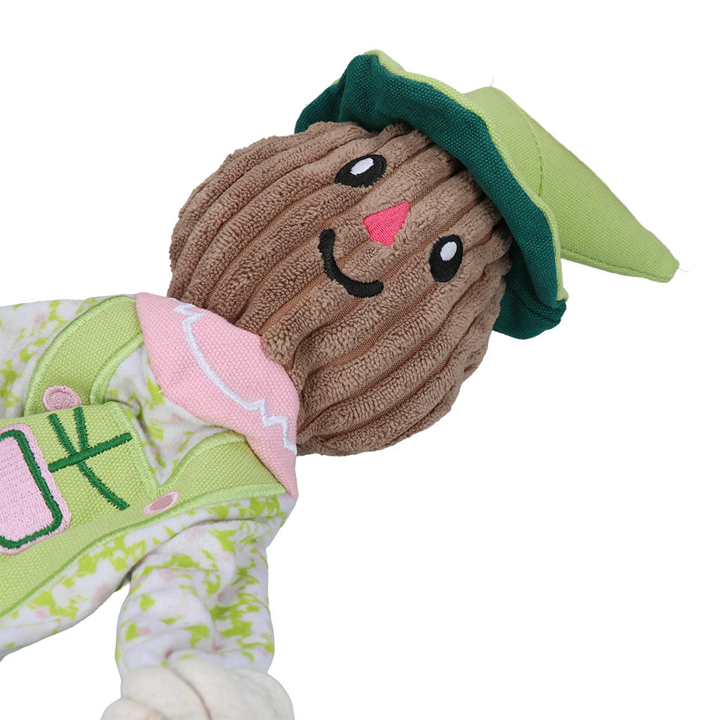 Garden Paws Scarecrow Indy Fields M