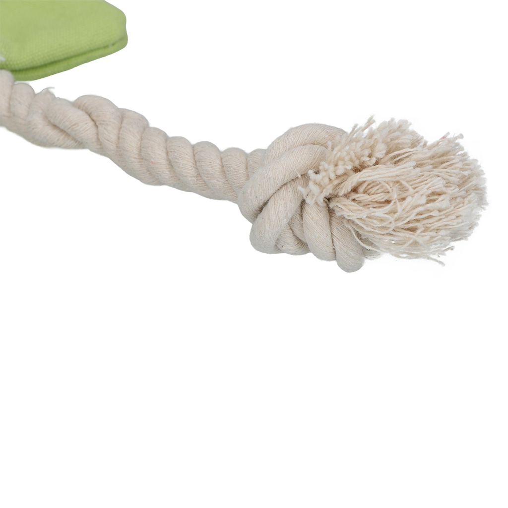 Garden Paws Scarecrow Indy Fields M