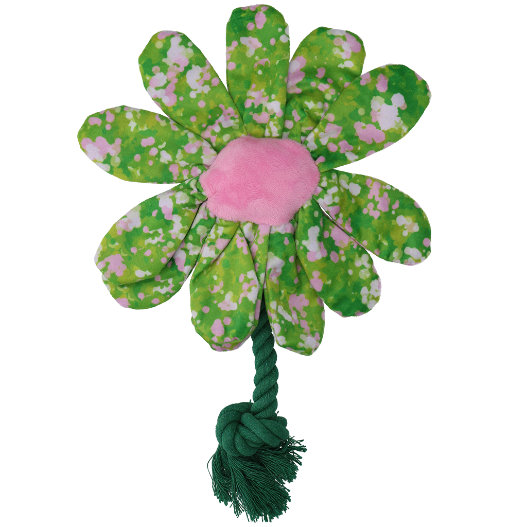 Garden Paws Flower Summer Shrubs M