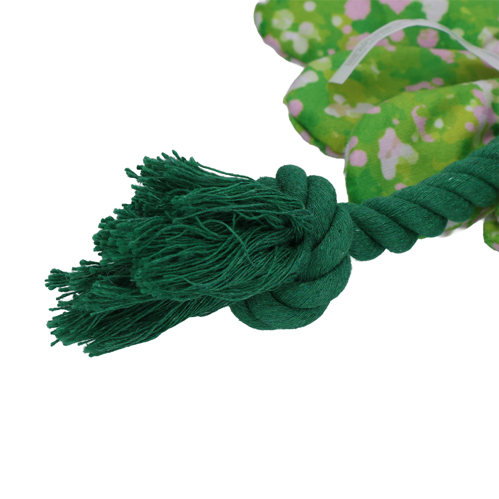 Garden Paws Flower Summer Shrubs M