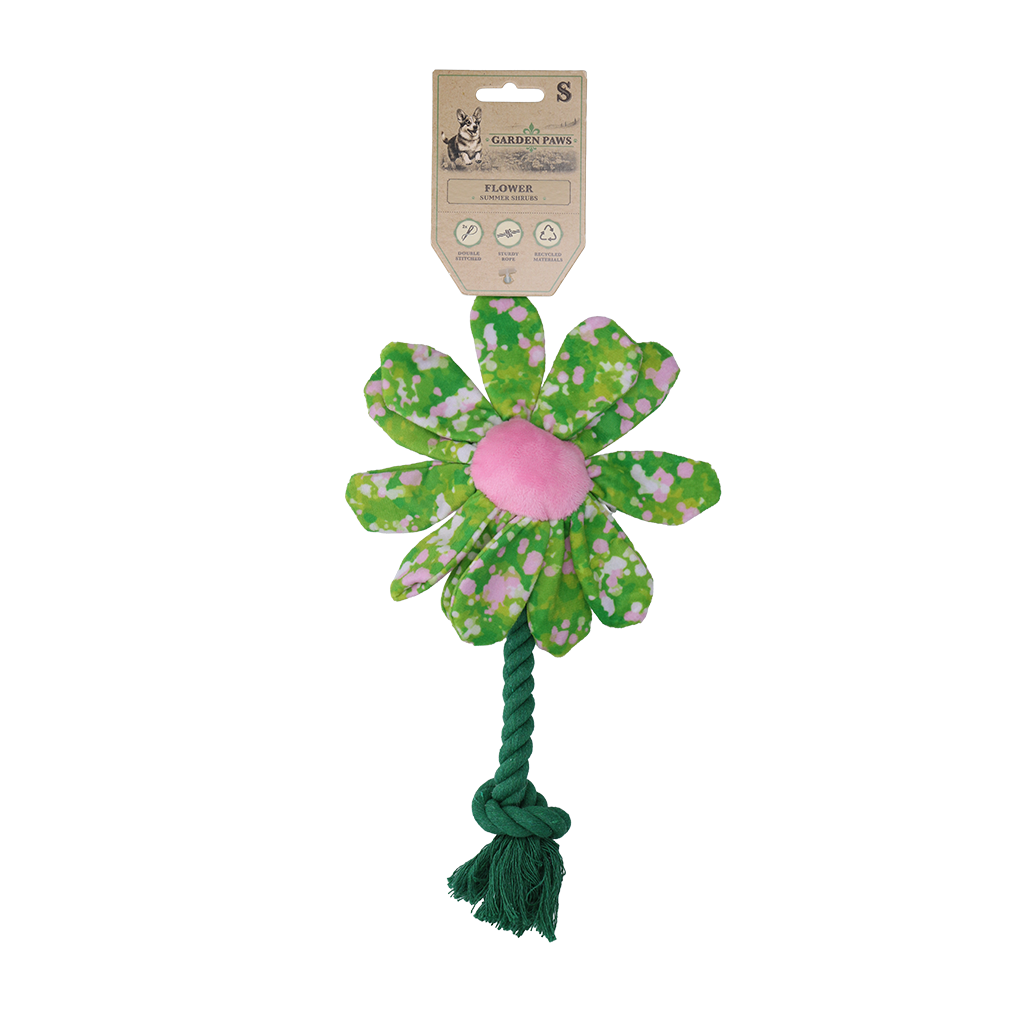 Garden Paws Flower Summer Shrubs S