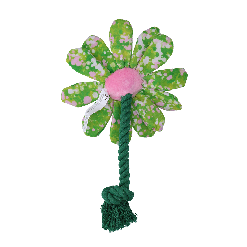 Garden Paws Flower Summer Shrubs S