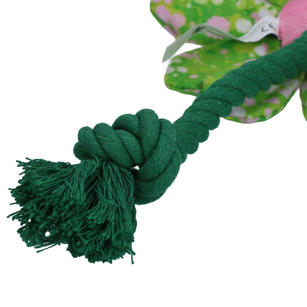 Garden Paws Flower Summer Shrubs S