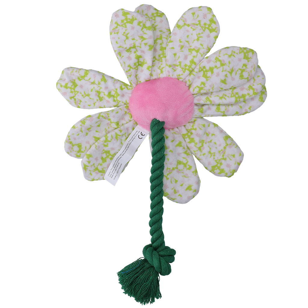 Garden Paws Flower Spring Sakura M