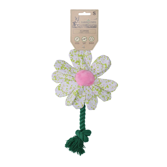 Garden Paws Flower Spring Sakura S