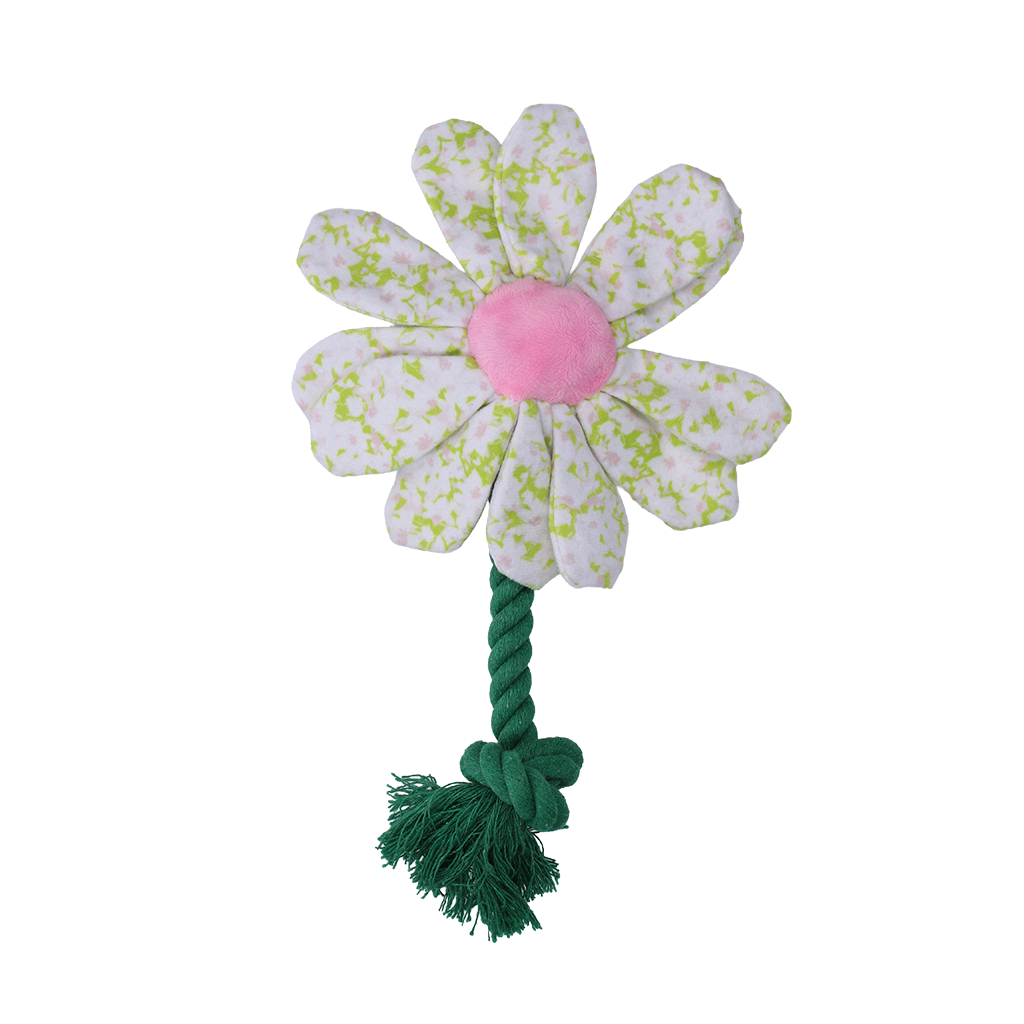 Garden Paws Flower Spring Sakura S