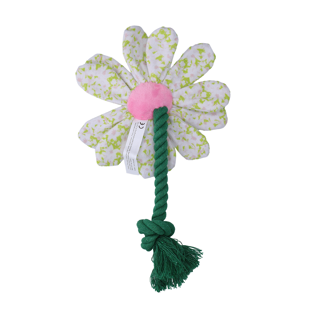 Garden Paws Flower Spring Sakura S