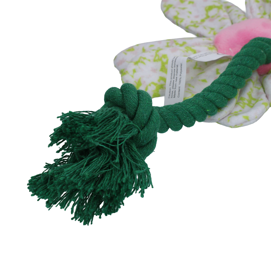 Garden Paws Flower Spring Sakura S