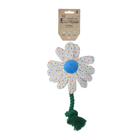 Garden Paws Flower Sky Flowers S