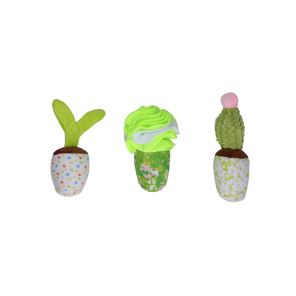 Garden Paws Snuffle Box Sprossen, Getreide & Kakteen